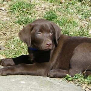 Meet your Posher, Jenny